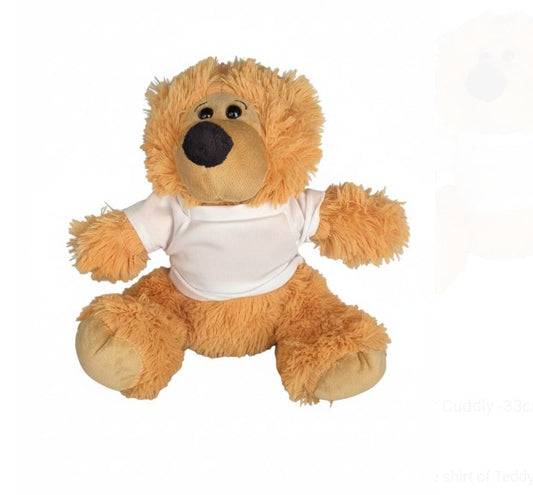Fluffy Teddy with T-shirt