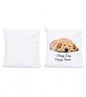 Scatter Pillow Cover